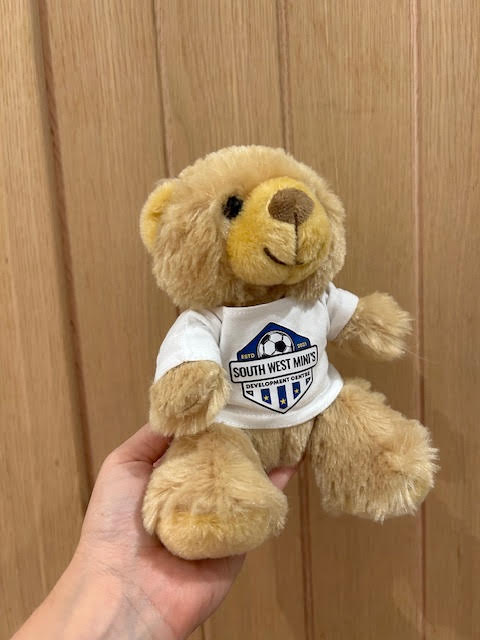 Mascot Teddy
